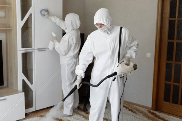 Best Mold Remediation for Specific Building Types in White Rock, NM