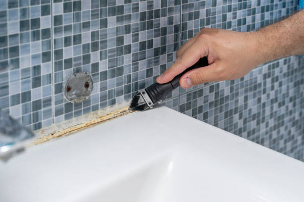 Best Post-Flood Mold Remediation in White Rock, NM