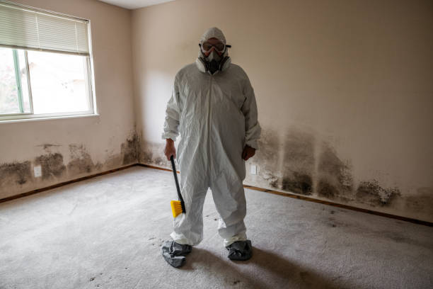 White Rock, NM Mold Remediation Company